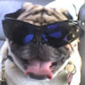 Meet your Posher, Candice